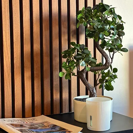 Moderne Climatise Avec Piscine, Terrasse Et Parking - Proche Promenade Des * Nicea