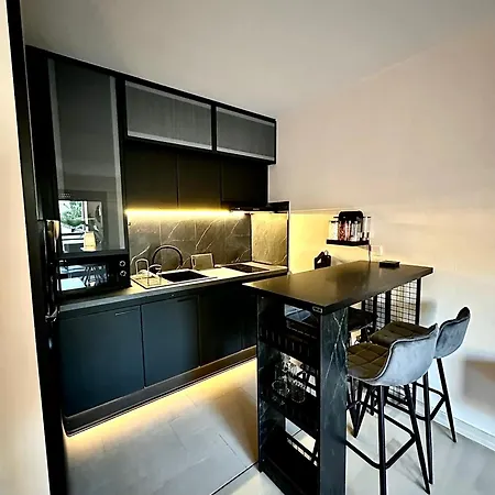 Apartament Moderne Climatise Avec Piscine, Terrasse Et Parking - Proche Promenade Des Nicea