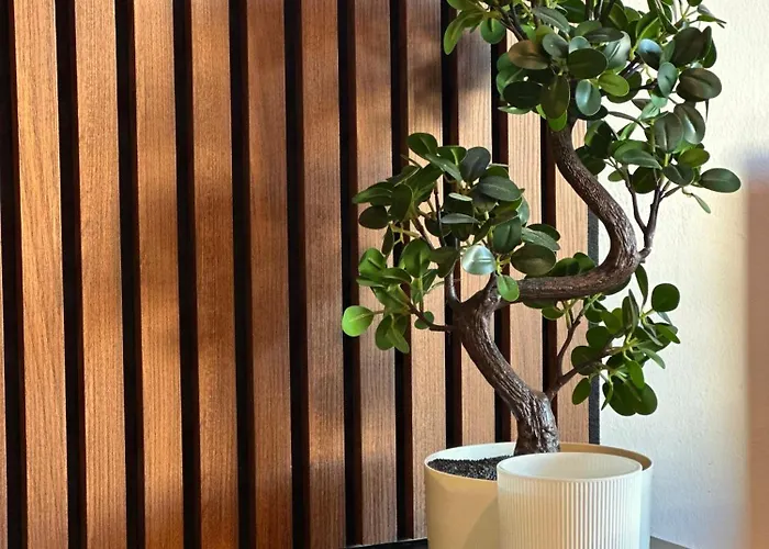 Moderne Climatise Avec Piscine, Terrasse Et Parking - Proche Promenade Des * Nicea