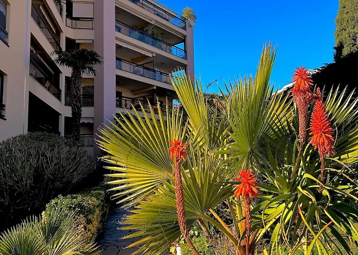 Apartament Moderne Climatise Avec Piscine, Terrasse Et Parking - Proche Promenade Des