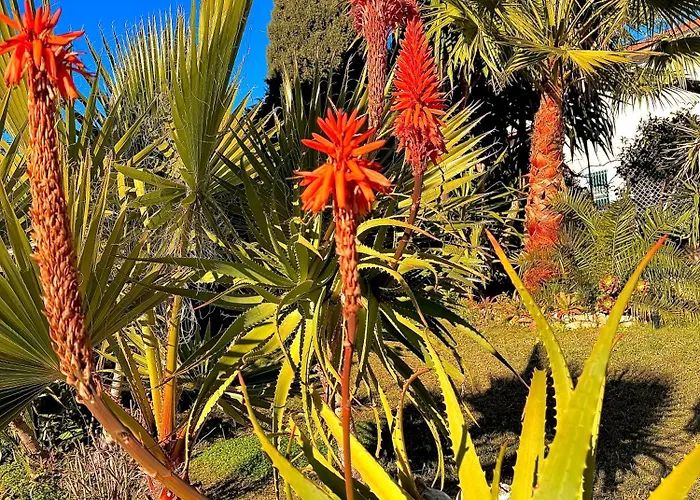Apartament Moderne Climatise Avec Piscine, Terrasse Et Parking - Proche Promenade Des Nicea